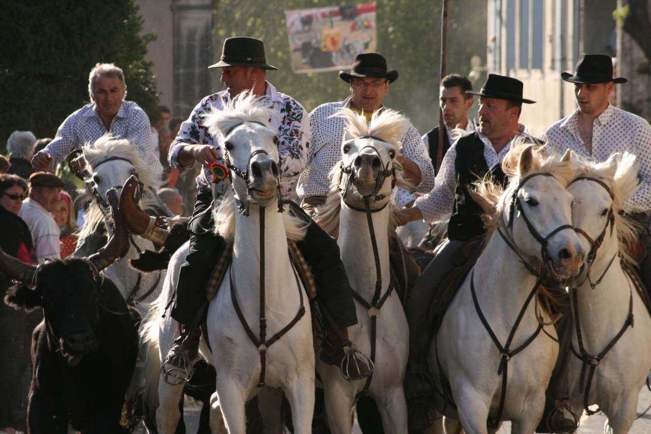 Gite De Vacances En Camargue ☆☆Nn Вовер Екстериор снимка